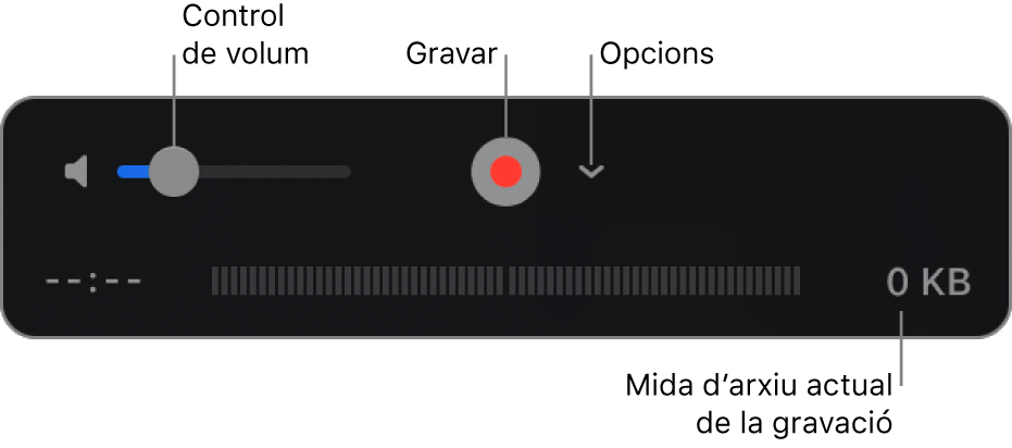 Els controls de gravació, inclosos el control de volum, el botó Gravar i el menú desplegable Opcions.
