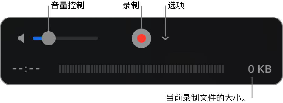 包含音量控制、“录制”按钮和“选项”弹出式菜单的录制控制。
