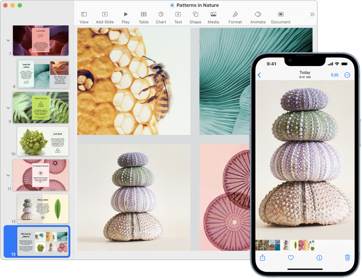 iPhone s fotkou vedle Macu, na kterém byla táž fotka vložena do dokumentu Pages