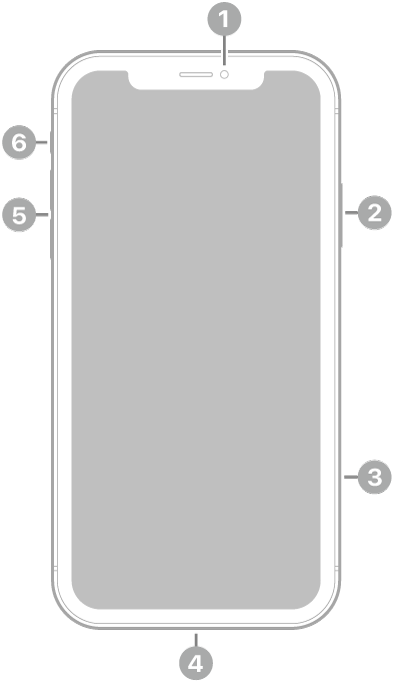 iPhone 11-এর ফ্রন্ট ভিউ। সামনের ক্যামেরাটি উপরের মাঝখানে রয়েছে। ডানদিকে, উপর থেকে নিচে, সাইড বাটন এবং SIM ট্রে রয়েছে। Lightning কানেক্টরটি নিচে রয়েছে। বামদিকে, নিচ থেকে উপরে, ভলিউম বাটন এবং রিং/সাইলেন্ট স্যুইচ রয়েছে।