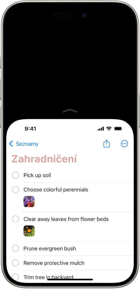 Displej iPhonu se zapnutou funkcí Dosah. Horní část obrazovky je posunutá dolů, takže na ni snadno dosáhnete palcem.