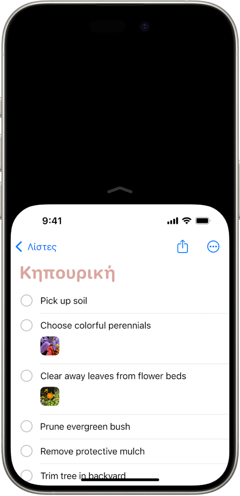 Η οθόνη του iPhone με ενεργοποιημένη την Εύκολη πρόσβαση. Το πάνω μέρος της οθόνης έχει μετακινηθεί προς τα κάτω ώστε να μπορεί να προσπελαστεί εύκολα με τον αντίχειρά σας.