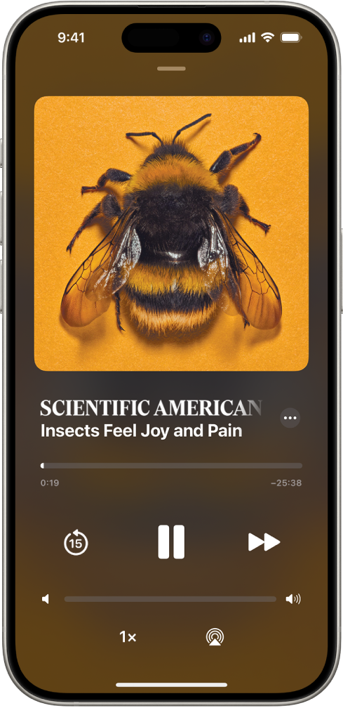 La pantalla Audio Player mostrando un artículo de audio, con los controles de reproducción y un regulador de volumen debajo.