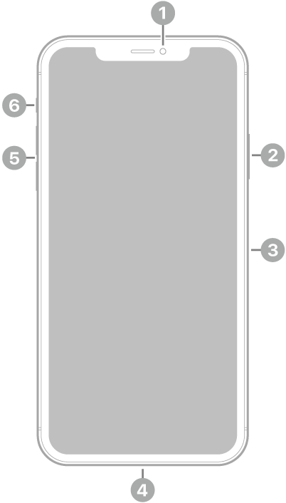 iPhone 11 Pro Maxஇன் முன்புறக் காட்சி. முன்புற கேமரா மேல் மையத்தில் உள்ளது. வலது புறத்தில், மேற்பகுதி முதல் அடிப்பகுதி வரை பக்கவாட்டு பட்டன், SIM டிரே ஆகியவை உள்ளன. Lightning கனெக்டர் அடிப்பகுதியில் உள்ளது. இடதுபுறத்தில், அடிப்பகுதி முதல் மேற்பகுதி வரை ஒலியளவு பட்டன்கள், ரிங்/சைலன்ட் ஸ்விட்ச் ஆகியவை உள்ளன.
